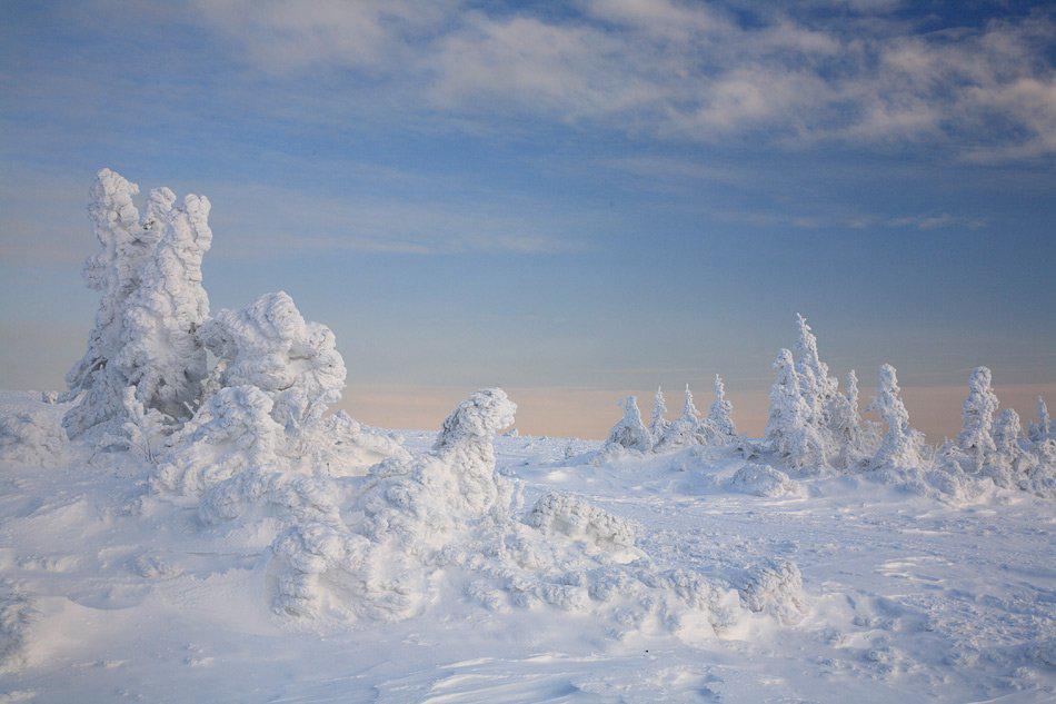 Суровая зима. Заснеженный вид. Снежные просторы тундры. Заснеженный Урал.